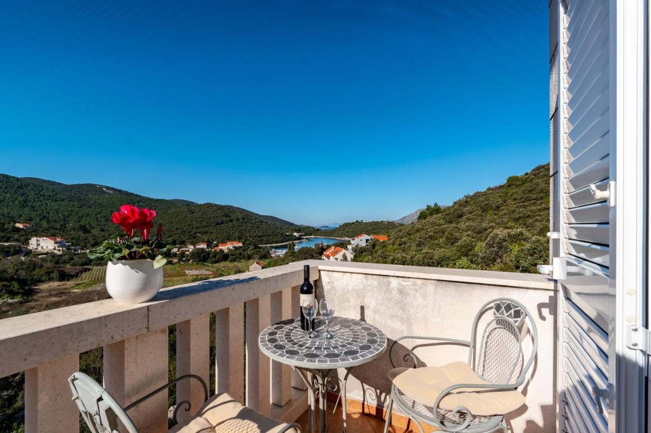 Villa Castello Zrnovo Luaran gambar